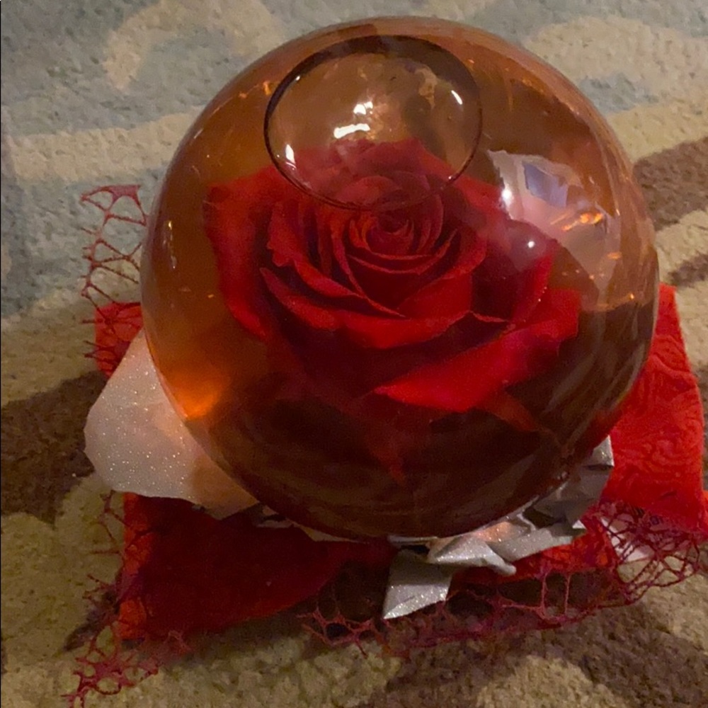 Rose In Water Glass